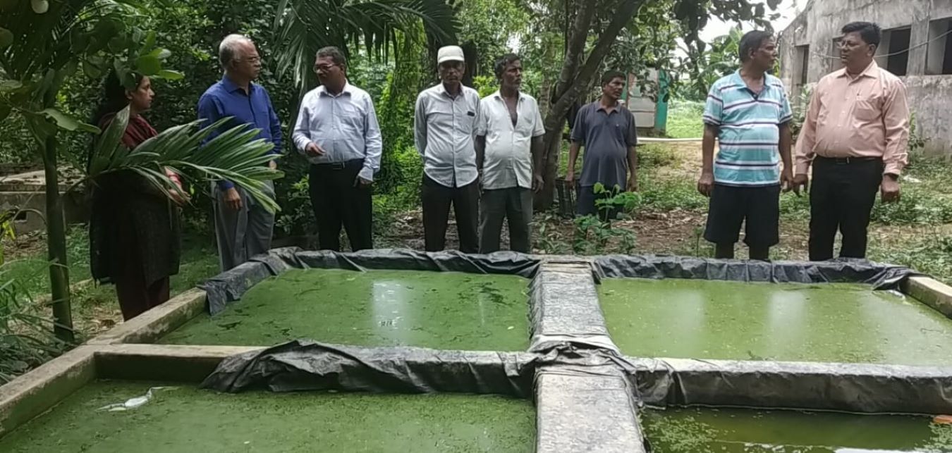 KRISHI VIGYAN KENDRA JAJPUR