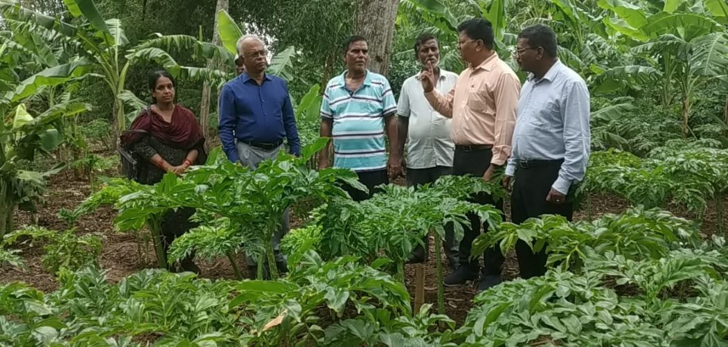 KRISHI VIGYAN KENDRA JAJPUR